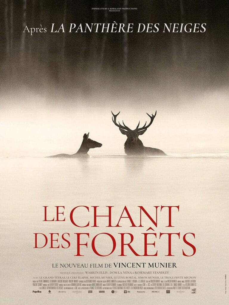 le chant des forêts