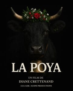 La poya